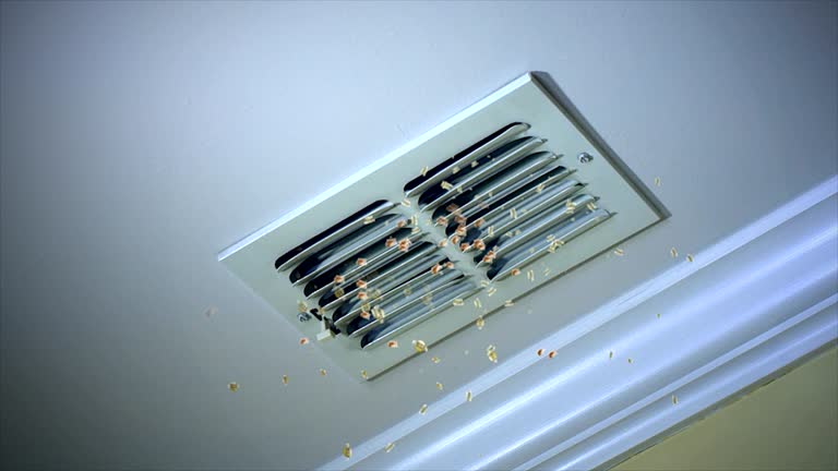 Best Air Duct Cleaning Near Me  in Bristol, FL