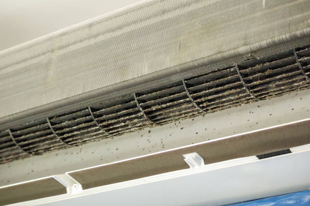 Best Commercial Air Duct Cleaning  in Bristol, FL