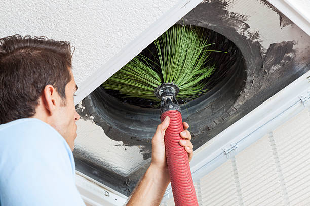 Best HVAC System Cleaning  in Bristol, FL